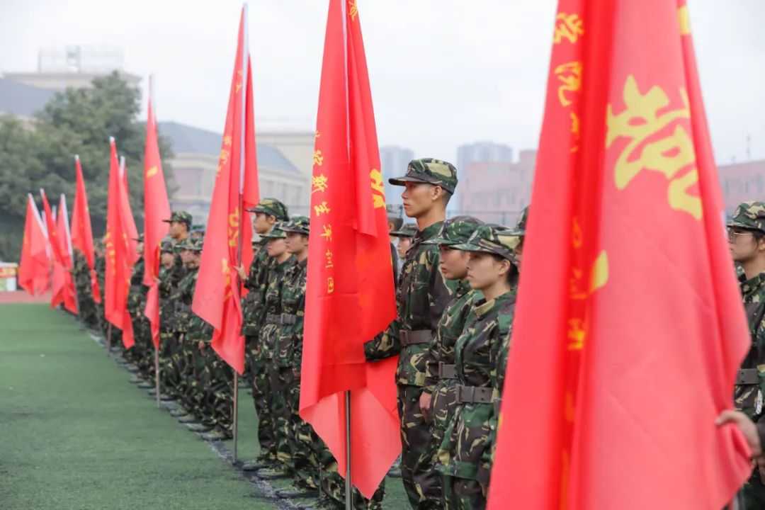 蜂蜜浏览器_图片 14.jpg